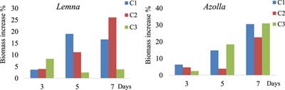 Optimization of the elimination of antibiotics by Lemna gibba and Azolla filiculoides using response surface methodology (RSM)